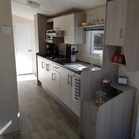 Austernfischer Am Kransburger 547