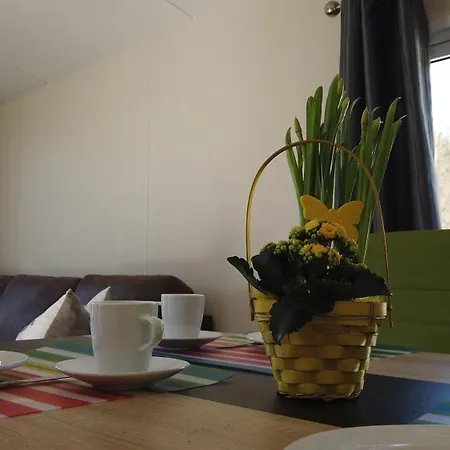 Austernfischer Am Kransburger 547 度假居