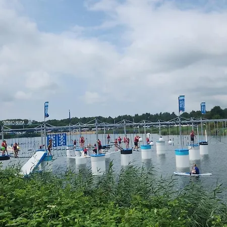 Austernfischer Am Kransburger 547 Wurster Nordseekuste