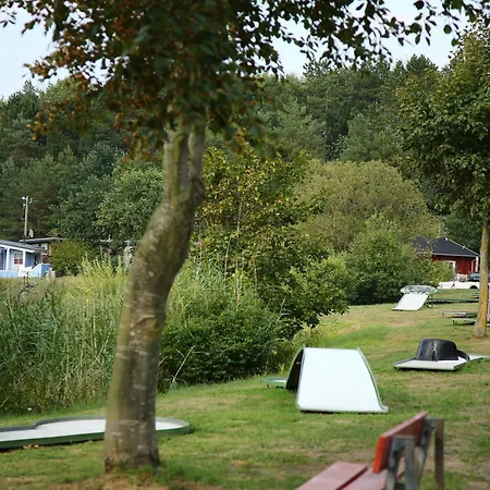 Austernfischer Am Kransburger 547 Wurster Nordseekuste